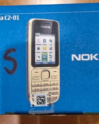 CELLULARE NOKIA C2-01