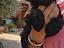 Immagine 3