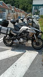 Benelli trk502s
