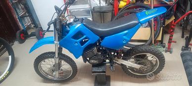 grizli 50