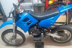 grizli 50
