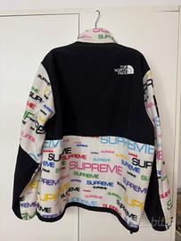 The north face supreme