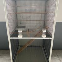 Voliera Gabbia Uccelli