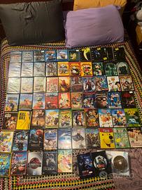 lotto dvd