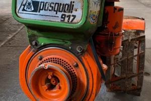 motocoltivatore  pasquali  917