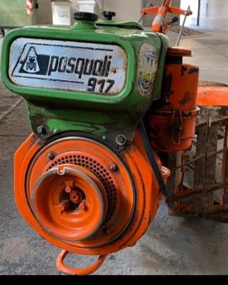 motocoltivatore  pasquali  917