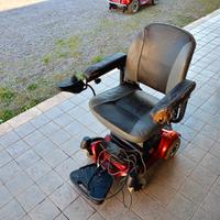 carrozzine per disabili 