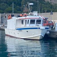 Peschereccio palangaro