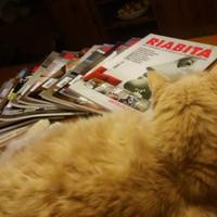 Riviste da collezione RIABITA