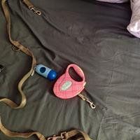 Collari guinzaglio per cani piccoli