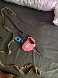 Collari guinzaglio per cani piccoli