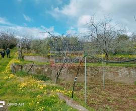 Casa di campagna - Piedimonte Etneo