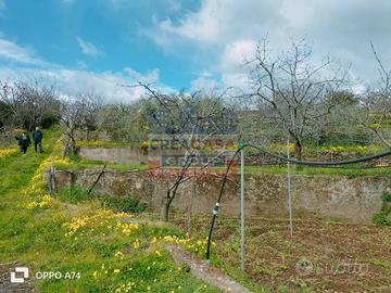 Casa di campagna - Piedimonte Etneo