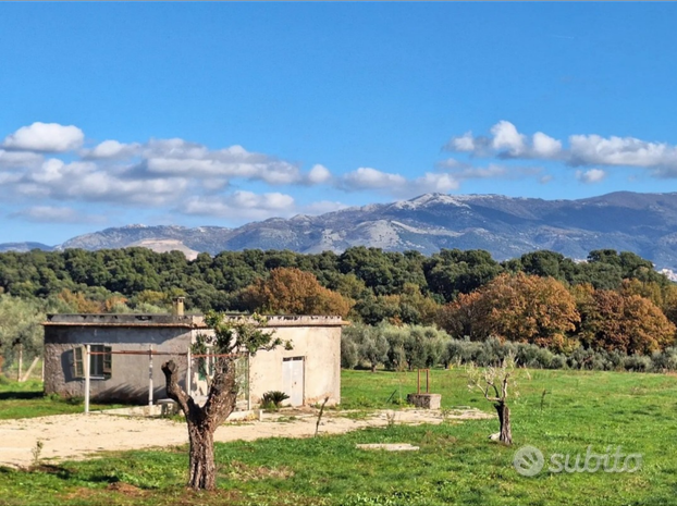 Terreno con casa Rurale