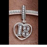 CHARM PANDORA