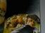 Immagine 5