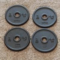 dischi in ghisa Decathlon 