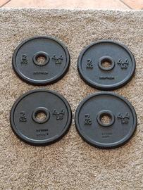 dischi in ghisa Decathlon 