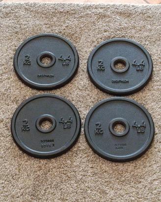 dischi in ghisa Decathlon 