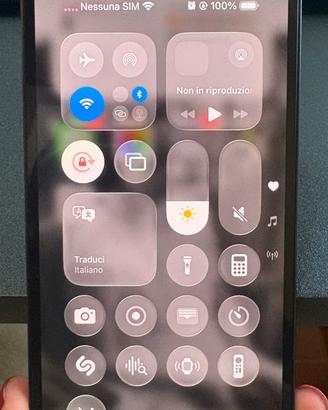 iPhone 12 256GB – Batteria 100%