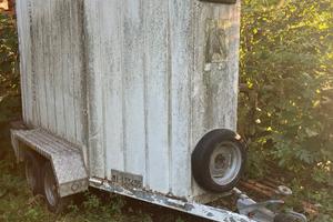 van per trasporto cavalli