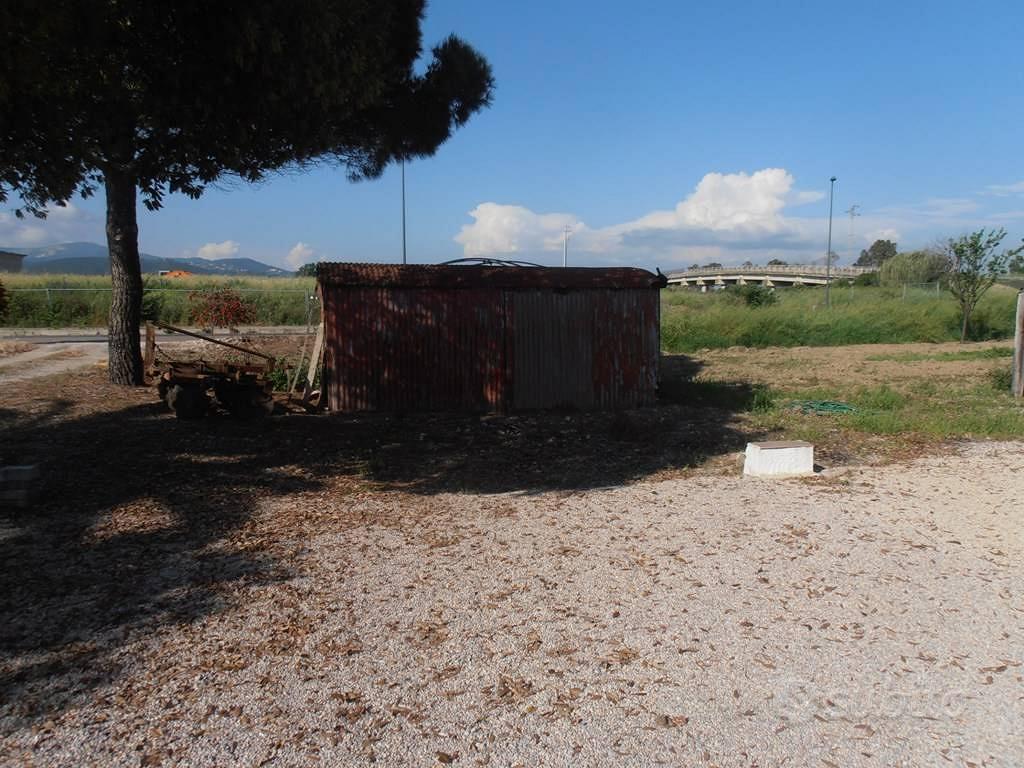 Rif.AA-T34| terreno agricolo campiglia marittima - Vista 4