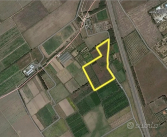 Terreno località Zippeddu