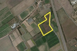 Terreno località Zippeddu