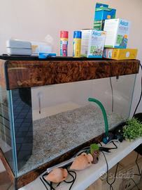 Acquario