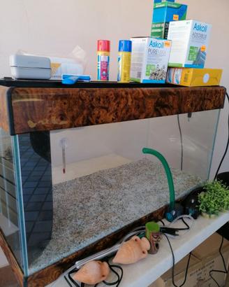 Acquario