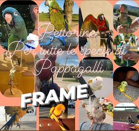 Pettorine Per Pappagalli