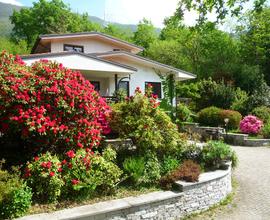 Lago Maggiore - Mergozzo - Agosto libero