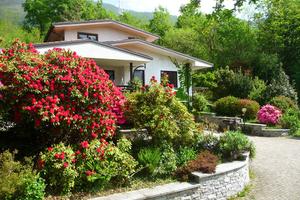 Lago Maggiore - Mergozzo - Agosto libero