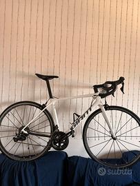 GIANT TCR