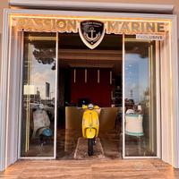 (New) Piaggio vespa primavera 50-125-150 s vari co