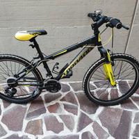 Mountain bike   ragazzo/a 8-12 anni