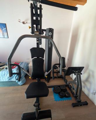 palestra