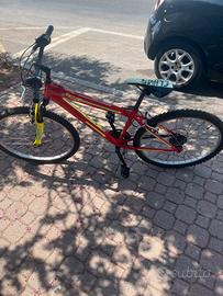 bicicletta