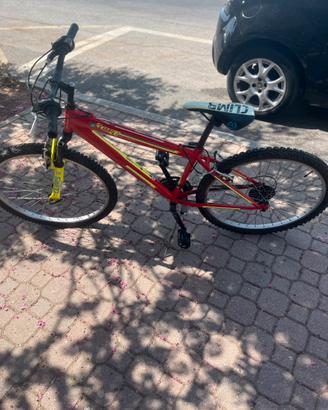 bicicletta
