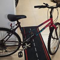 MTB Giant taglia 18 Donna/Bambino.