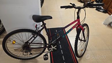 MTB Giant taglia 18 Donna/Bambino.