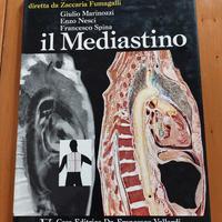 Anatomia umana - Il mediastino