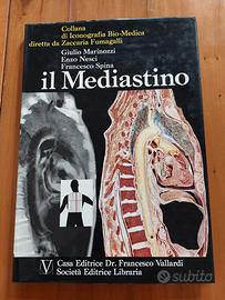 Anatomia umana - Il mediastino