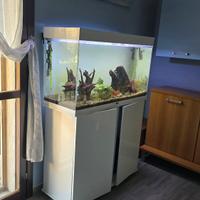 Acquario 200 litri CIANO 200