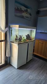 Acquario 200 litri CIANO 200