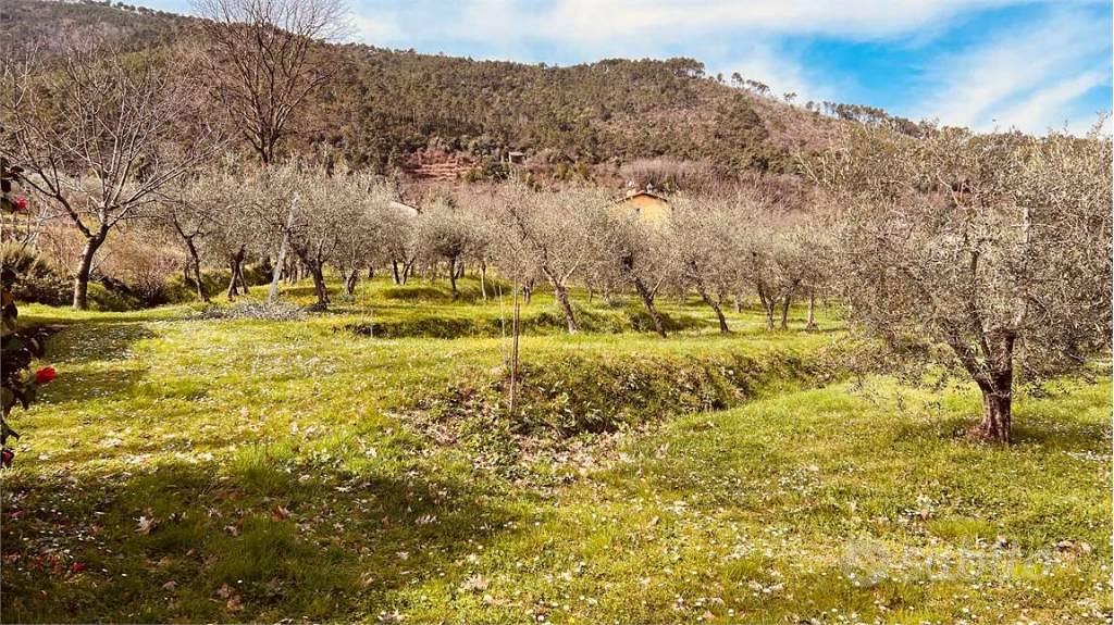 Rustico / Casale di 180 m² con più di 5 locali e p - Vista 4
