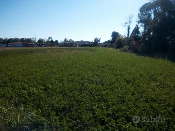 Terreno agricolo