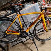 specialized