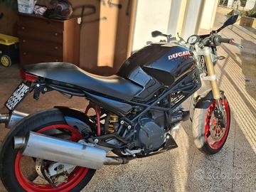 ducati monster