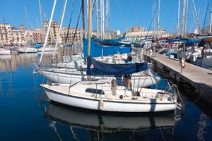 Barca a Vela Meteor e Fuoribordo honda gambo lungo